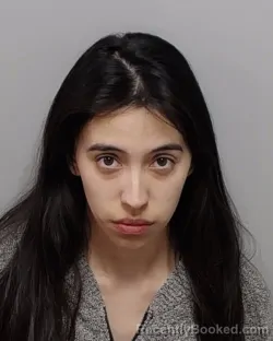 Mugshot of AMARIS N HERRERA booked in Bexar County, Texas on April 4, 2026