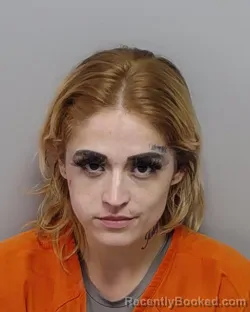 Mugshot of ILLANA L TREVINO booked in Bexar County, Texas on April 5, 2026