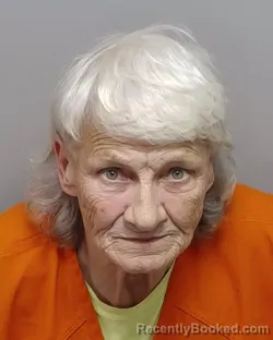 Mugshot of DEBORAH G BLAKE booked in Bexar County, Texas on April 5, 2026