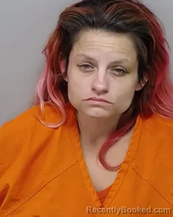 Booking photo from Bexar County, Texas