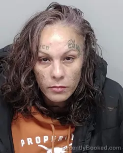 Mugshot of VALERIE SILVA booked in Bexar County, Texas on April 6, 2026