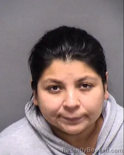 Mugshot of MARY A BUENTELLO booked in Bexar County, Texas on April 6, 2026