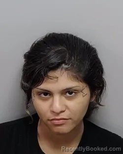 Mugshot of SARAH E HERNANDEZ booked in Bexar County, Texas on May 6, 2026