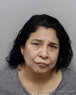 Mugshot of ANNIE S COSTELLO booked in Bexar County, Texas on May 23, 2026