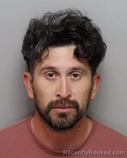 Mugshot of ELVIS E AMAYA booked in Bexar County, Texas on May 23, 2026