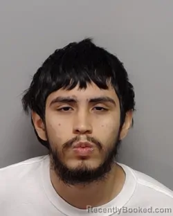 Mugshot of SANTANA S SILGUERO booked in Bexar County, Texas on May 24, 2026
