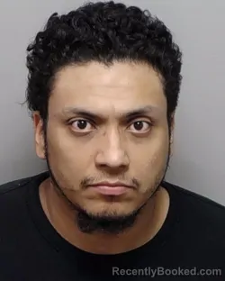Mugshot of FRANKIE M BRISENO booked in Bexar County, Texas on May 24, 2026