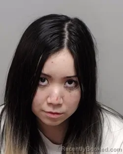 Mugshot of LYNDSEY KAITLYN GU booked in Bexar County, Texas on May 25, 2026