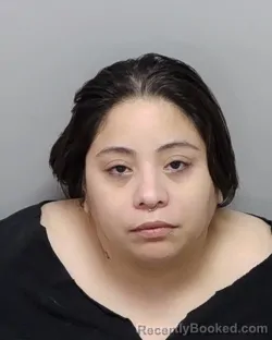Mugshot of MARY A MONTELONGO booked in Bexar County, Texas on May 25, 2026
