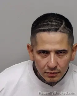 Mugshot of DANIEL BORREGO booked in Bexar County, Texas on May 25, 2026