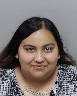 Mugshot of DONNA P ALVAREZ booked in Bexar County, Texas on May 29, 2026