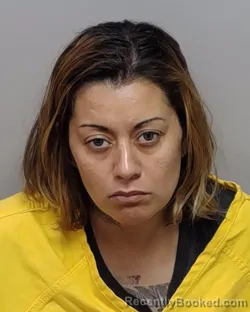 Mugshot of ELIZABETH M LEDESMA booked in Bexar County, Texas on May 29, 2026