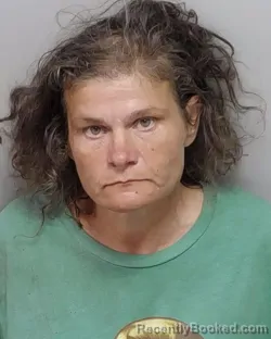Mugshot of BRANDI N DAVIDSON booked in Bexar County, Texas on June 1, 2026