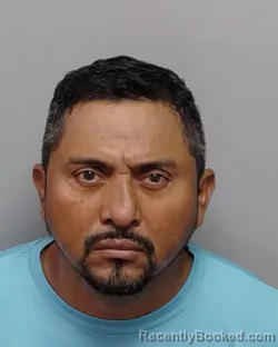 Mugshot of DENIS O ZUNIGA-ALVARADO booked in Bexar County, Texas on June 1, 2026