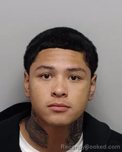 Mugshot of ALEXZAVIER J CRUZ booked in Bexar County, Texas on June 1, 2026