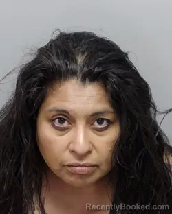 Mugshot of NERISSA A GOMEZ booked in Bexar County, Texas on June 1, 2026