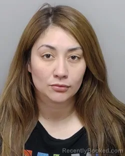 Mugshot of JUANA K SANCHEZ booked in Bexar County, Texas on June 1, 2026