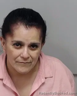 Mugshot of MARY J SALINAS booked in Bexar County, Texas on June 2, 2026
