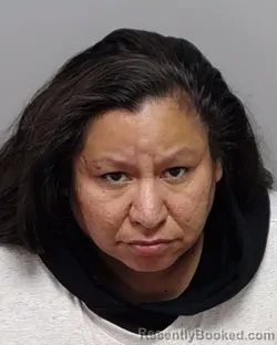 Mugshot of STEPHANIE M REYES booked in Bexar County, Texas on June 2, 2026
