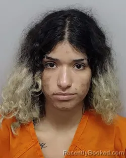 Mugshot of DESIREE F DENNIS booked in Bexar County, Texas on June 2, 2026