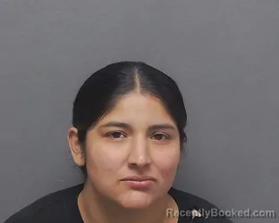 Mugshot of DANA L NORIEGA booked in Bexar County, Texas on June 1, 2026