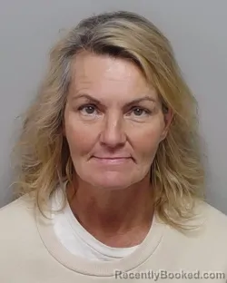 Mugshot of KAREN E DAVIS booked in Bexar County, Texas on June 2, 2026
