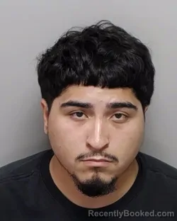Mugshot of ROY TORRES booked in Bexar County, Texas on June 3, 2026