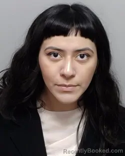 Mugshot of CELINE F GAITAN booked in Bexar County, Texas on June 3, 2026
