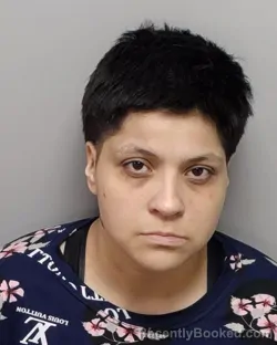 Mugshot of CHELSEA M MORALES booked in Bexar County, Texas on June 3, 2026