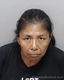 Mugshot of PAULETTE GARCIA booked in Bexar County, Texas on June 4, 2026