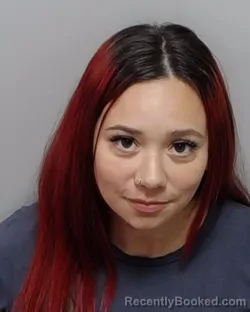 Booking photo from Bexar County, Texas