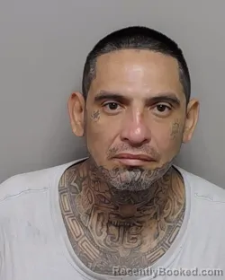 Mugshot of Paul Jr Garza booked in Bexar County, Texas on July 13, 2026