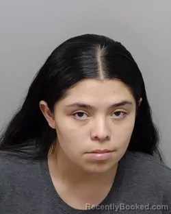 Mugshot of Arianna E Garcia booked in Bexar County, Texas on July 14, 2026