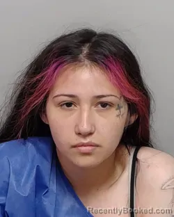 Mugshot of Alazay R Flores booked in Bexar County, Texas on July 15, 2026