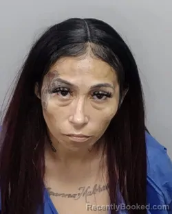 Mugshot of Amanda L Oyervides booked in Bexar County, Texas on July 15, 2026