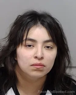 Mugshot of PRISCILLA GARZA booked in Bexar County, Texas on July 16, 2026