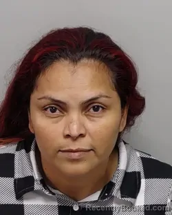 Mugshot of MIRIAM F BRAVO booked in Bexar County, Texas on July 18, 2026