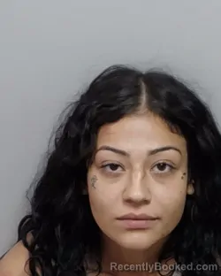 Mugshot of BRISA L GARZA booked in Bexar County, Texas on July 18, 2026