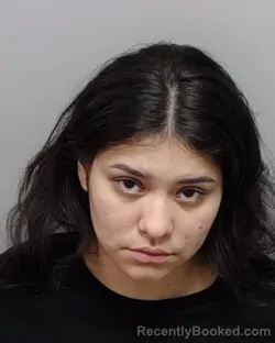 Mugshot of FELICITY R FERNANDEZ booked in Bexar County, Texas on July 18, 2026