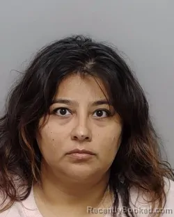 Mugshot of VENTURA SILVERIA LOPEZ booked in Bexar County, Texas on July 19, 2026
