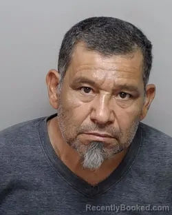 Mugshot of D P Salinas booked in Bexar County, Texas on July 27, 2026
