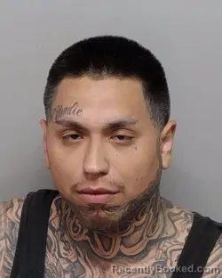 Mugshot of D A Jr Escobedo booked in Bexar County, Texas on July 28, 2026