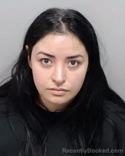 Mugshot of L G Garza booked in Bexar County, Texas on July 29, 2026