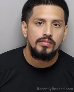 Mugshot of R Zapata booked in Bexar County, Texas on July 31, 2026