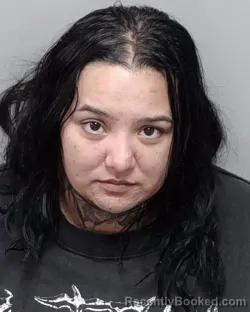 Mugshot of S E Perez booked in Bexar County, Texas on July 31, 2026