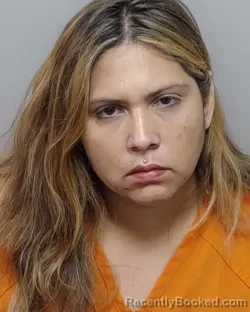 Mugshot of S N Mendoza booked in Bexar County, Texas on August 1, 2026