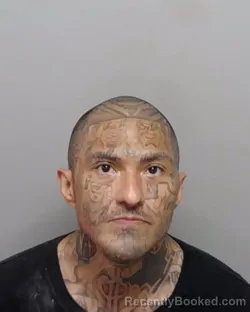 Mugshot of M Jr Amaya booked in Bexar County, Texas on August 1, 2026
