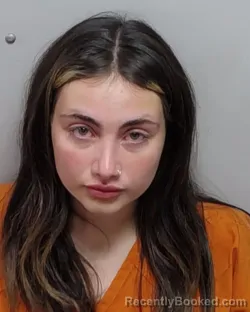 Mugshot of A N Ferreira booked in Bexar County, Texas on August 2, 2026
