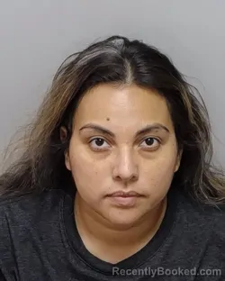 Mugshot of L M Gonzales booked in Bexar County, Texas on August 3, 2026