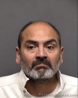 Mugshot of M D Cadena booked in Bexar County, Texas on August 3, 2026